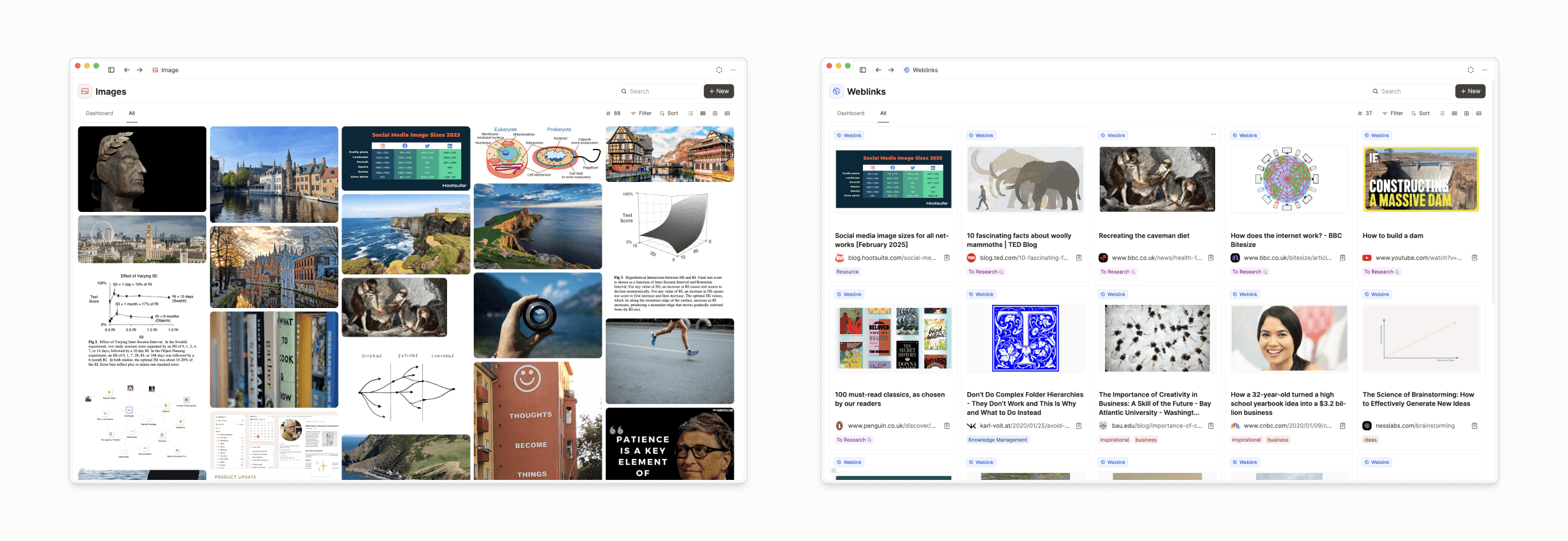 Media: Images, weblinks