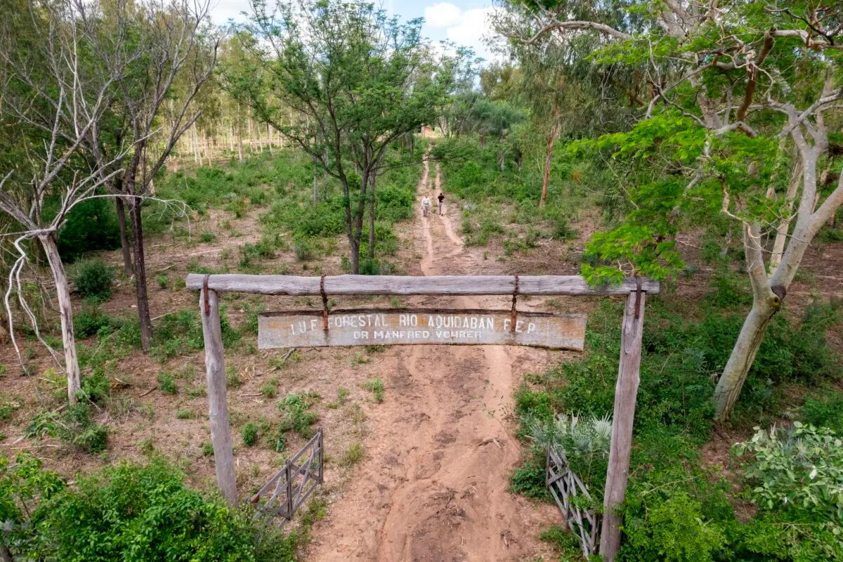 Forestal Río Aquidabán